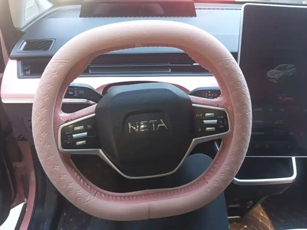 Neta Neta V — миниатюра 11