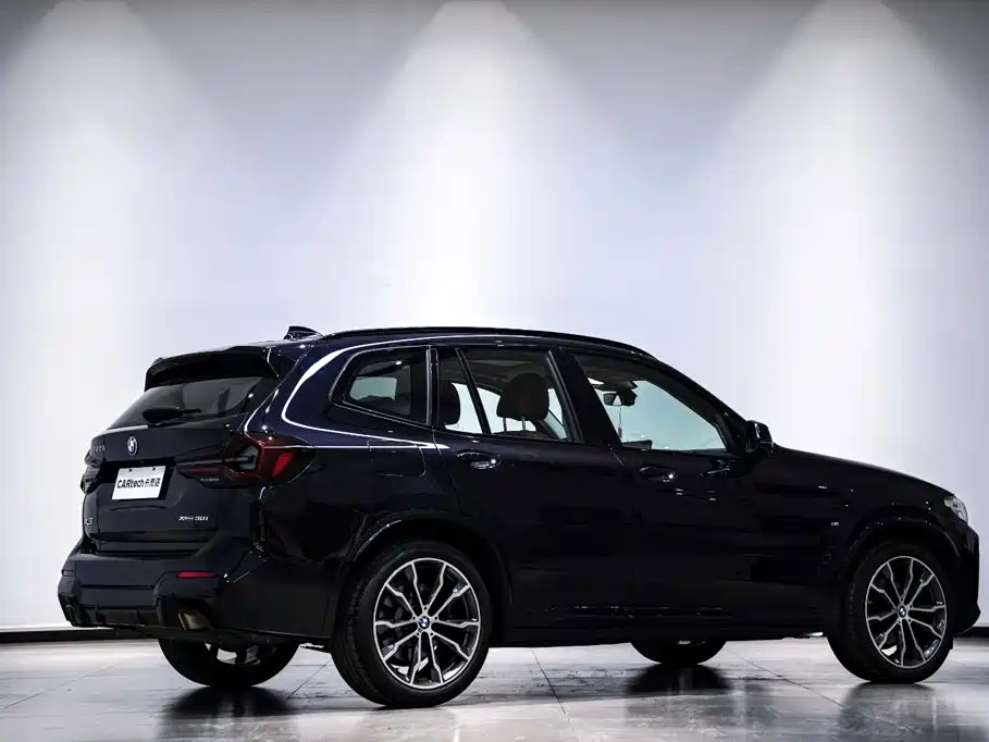 BMW X3 — миниатюра 8