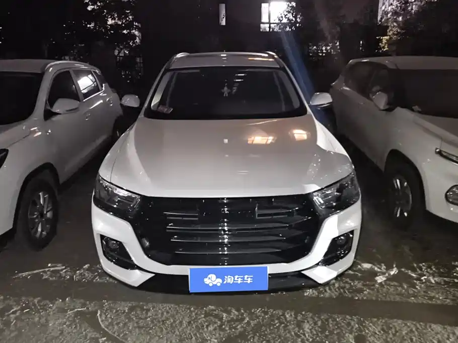 Haval H6 — миниатюра 2