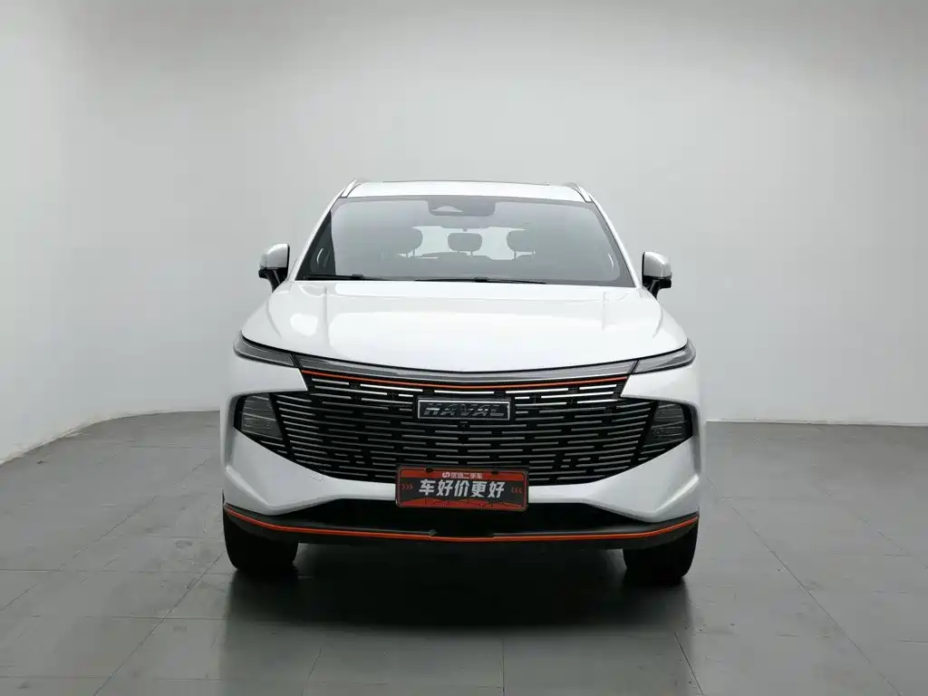 Haval Shenshou — миниатюра 3