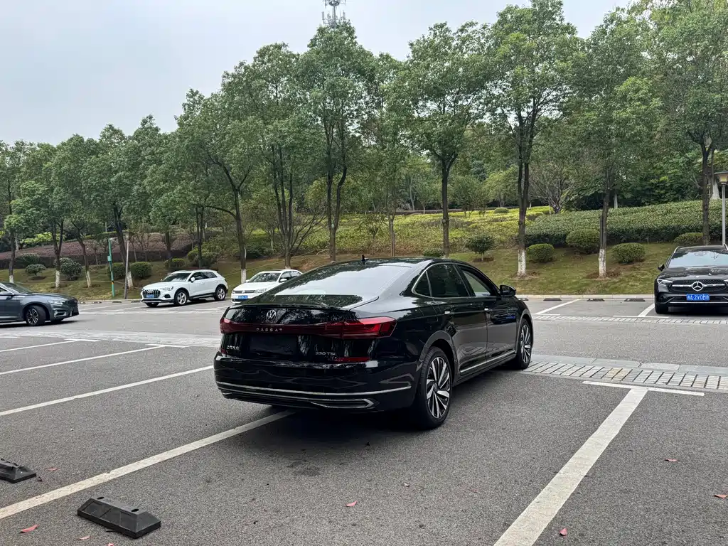 Volkswagen Passat — миниатюра 10