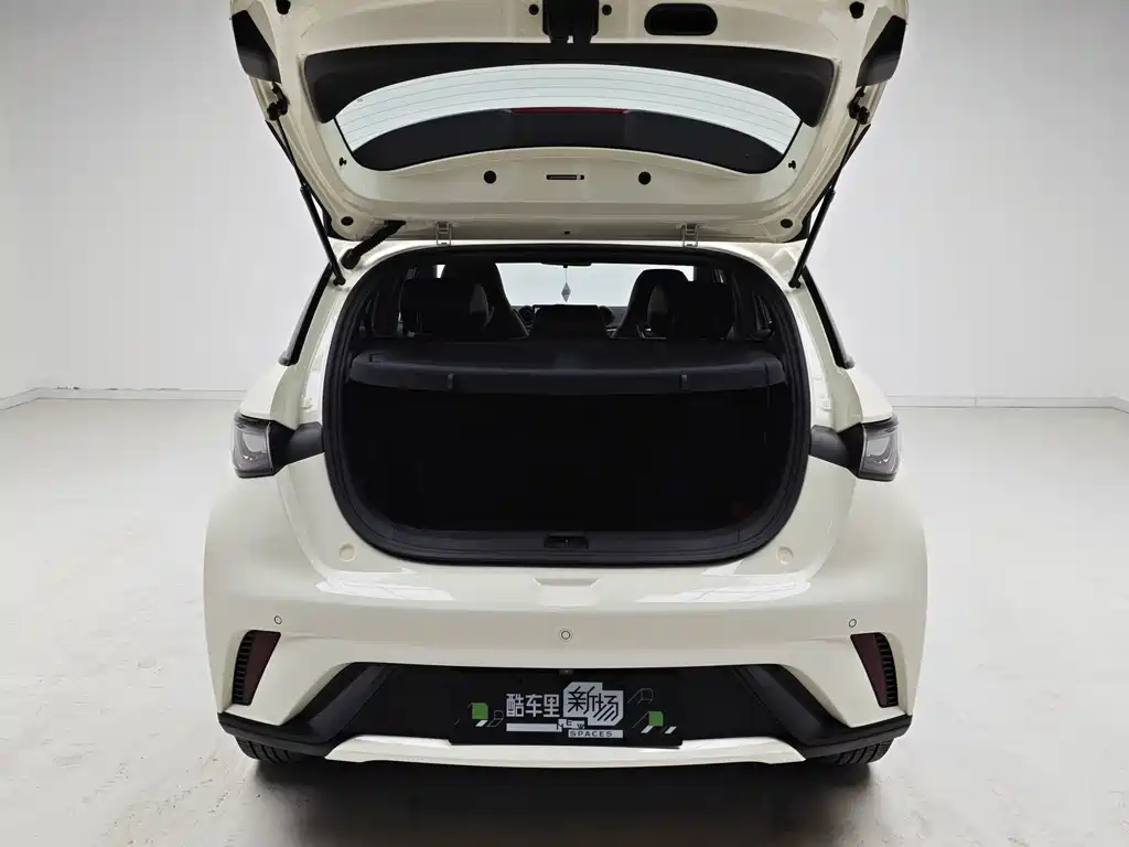 BYD Dolphin — миниатюра 11