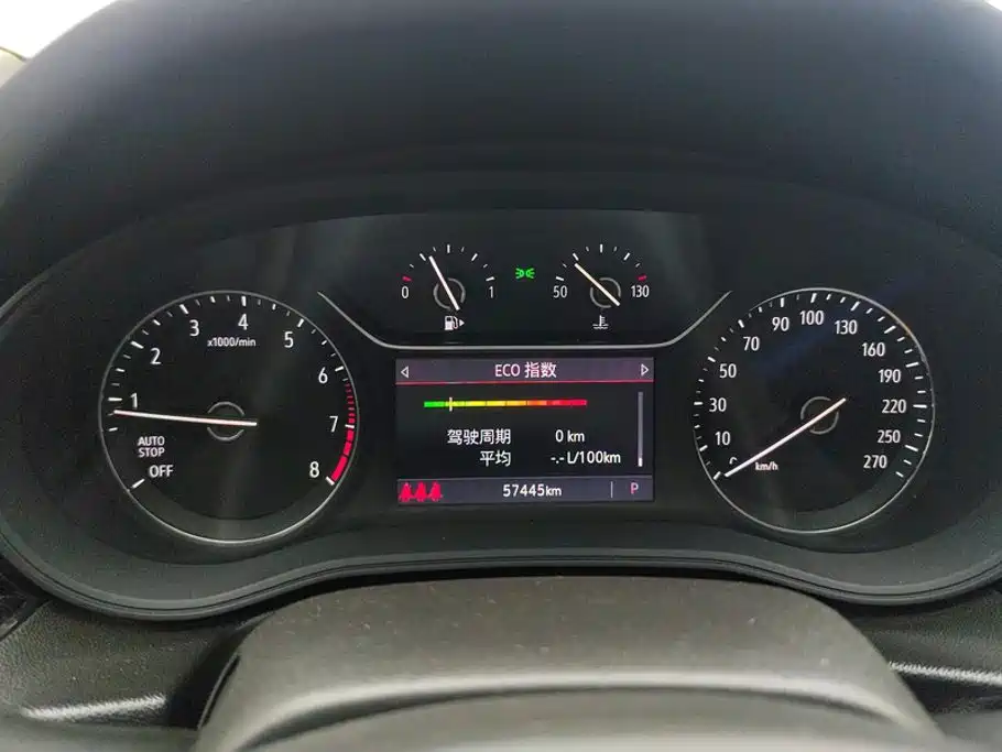 Buick Regal — миниатюра 14