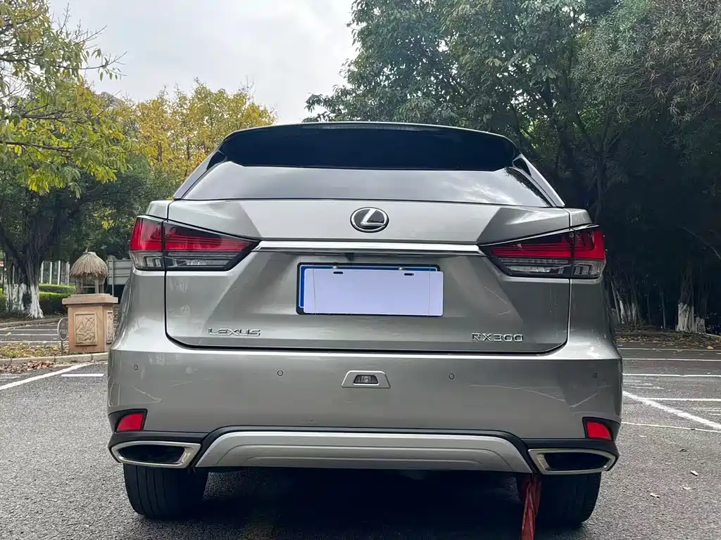 LEXUS RX