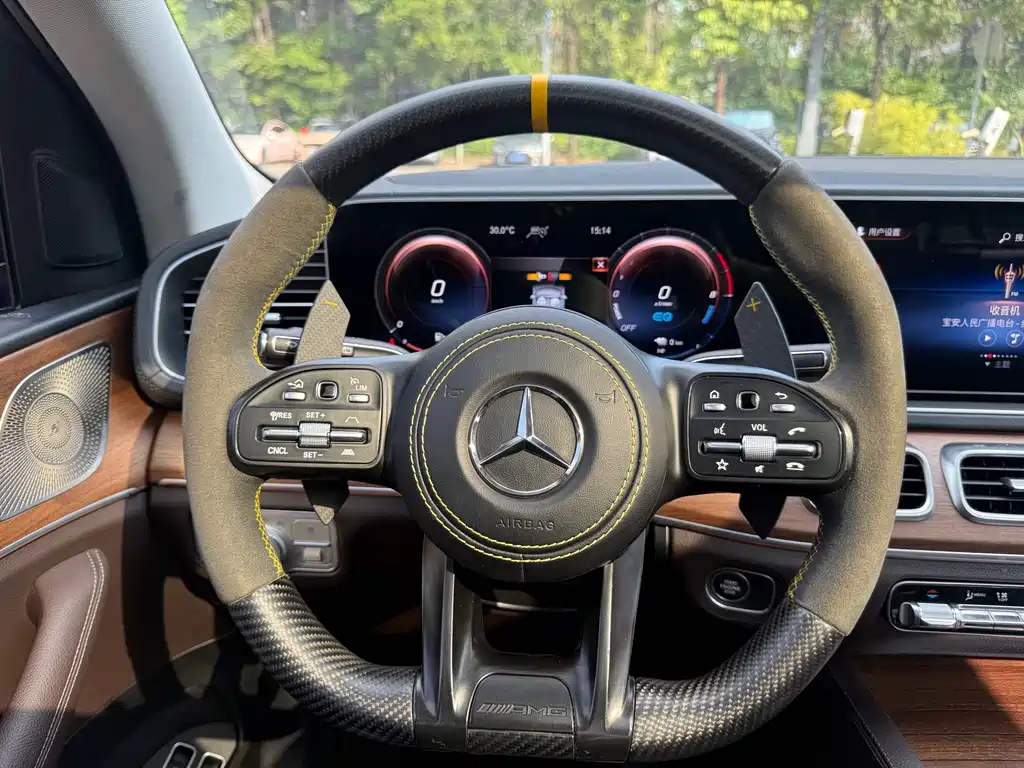 Mercedes-Benz GLE New Energy — миниатюра 10