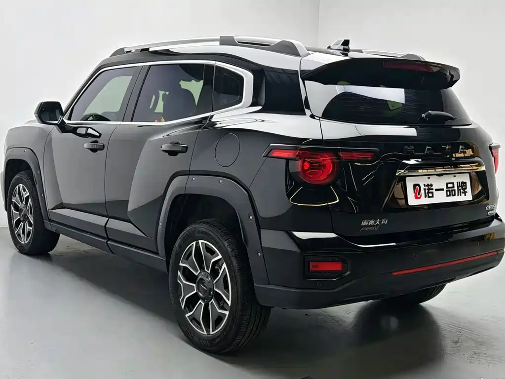 Haval Big Dog PLUS New Energy — миниатюра 6