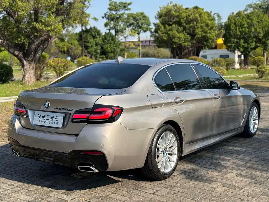 BMW 5 Series — миниатюра 23