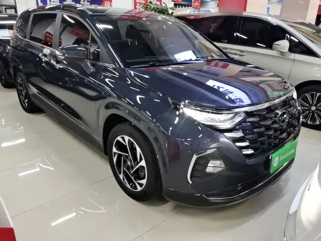 Hyundai Custo — миниатюра 4