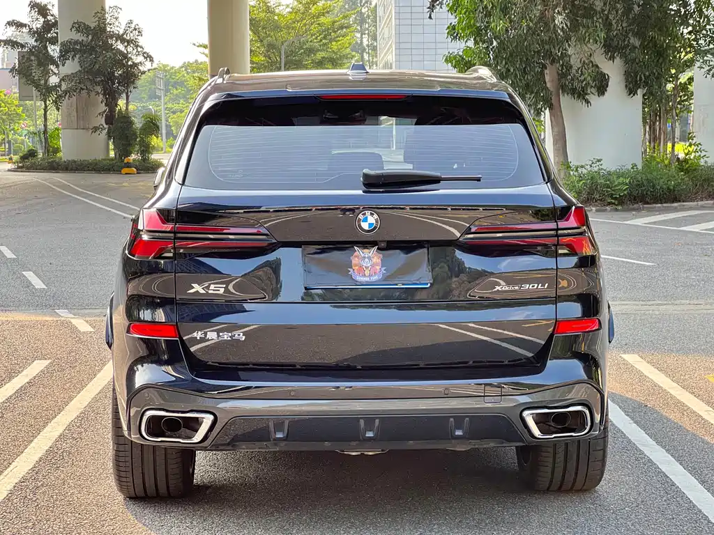 BMW X5 — миниатюра 5