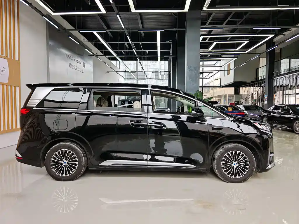 Denza Denza D9 — миниатюра 12