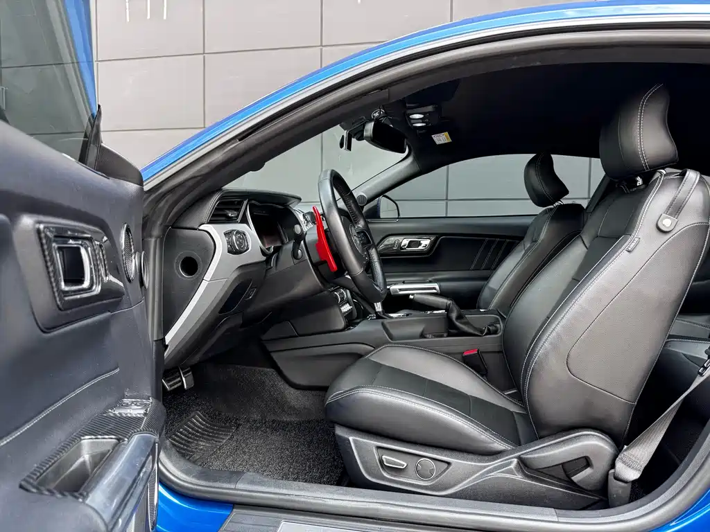 Ford Mustang — миниатюра 12