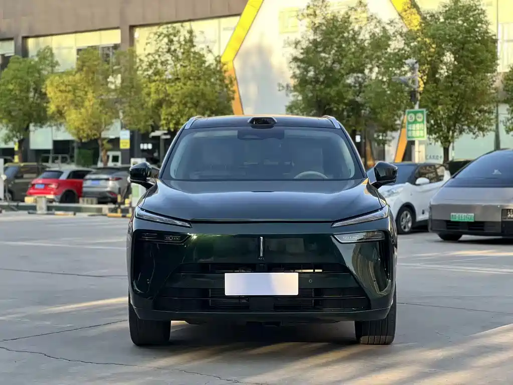 Wey Wey Lanshan — миниатюра 2