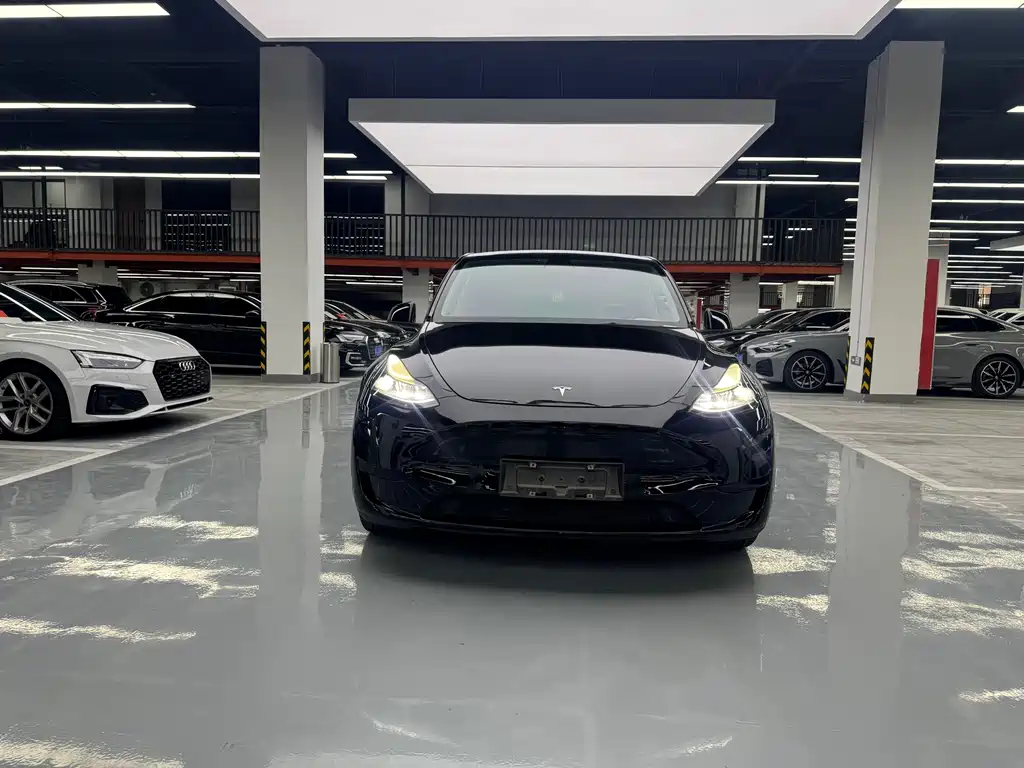 Tesla Model Y — миниатюра 2