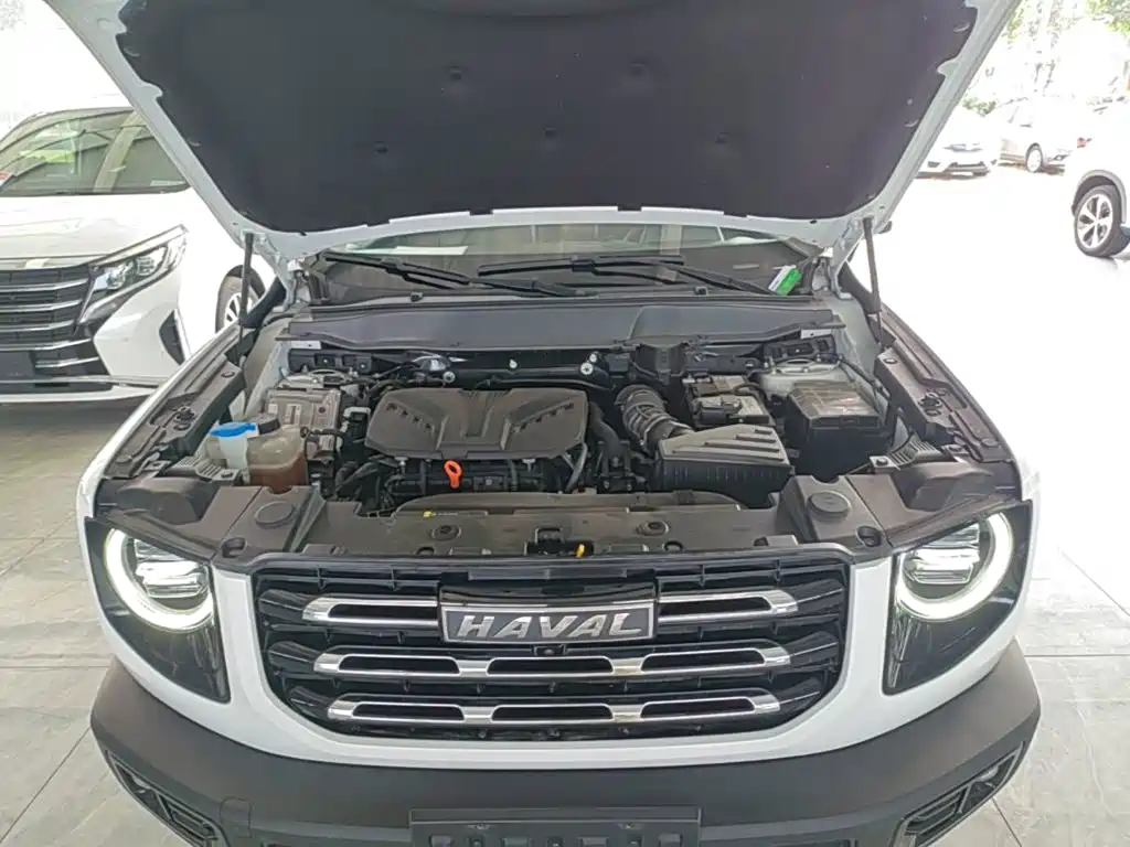 Haval Big Dog — миниатюра 20