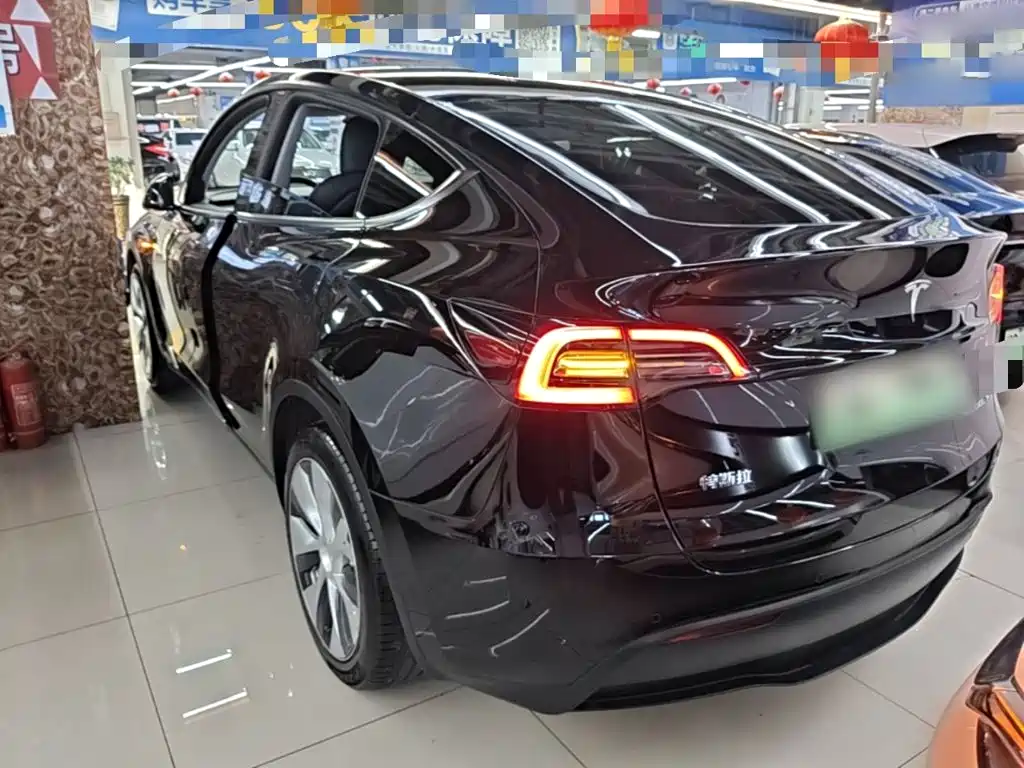 Tesla Model Y — миниатюра 5
