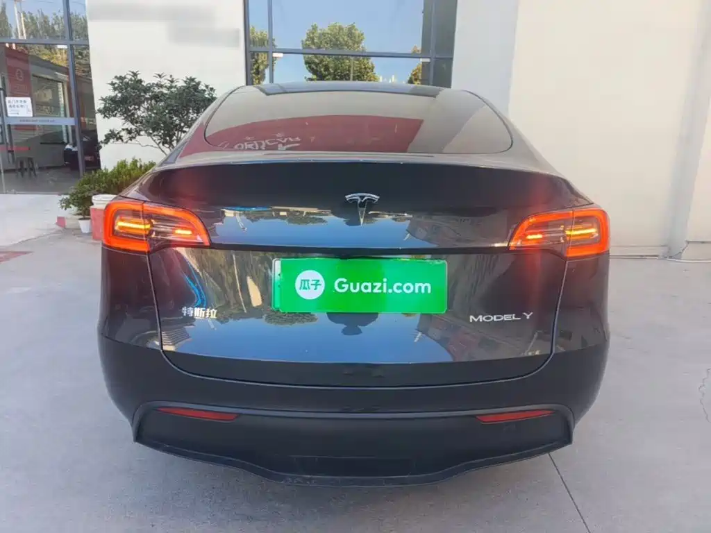 Tesla Model Y — миниатюра 6