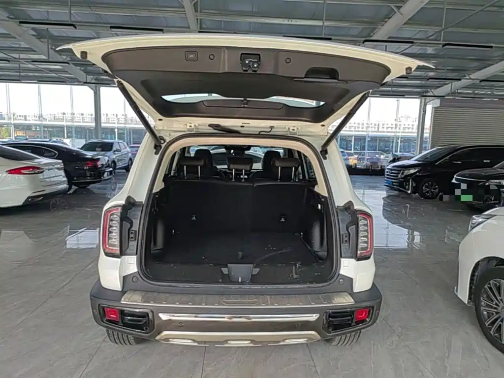 Haval Big Dog — миниатюра 19