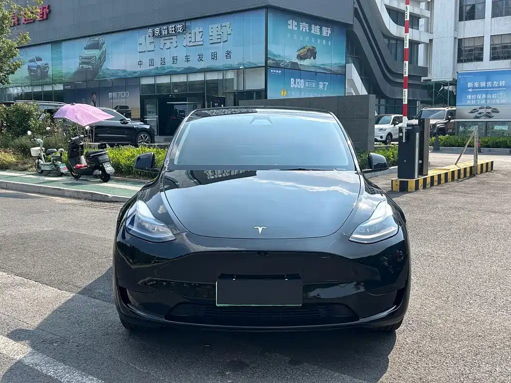 Tesla Model Y — миниатюра 2