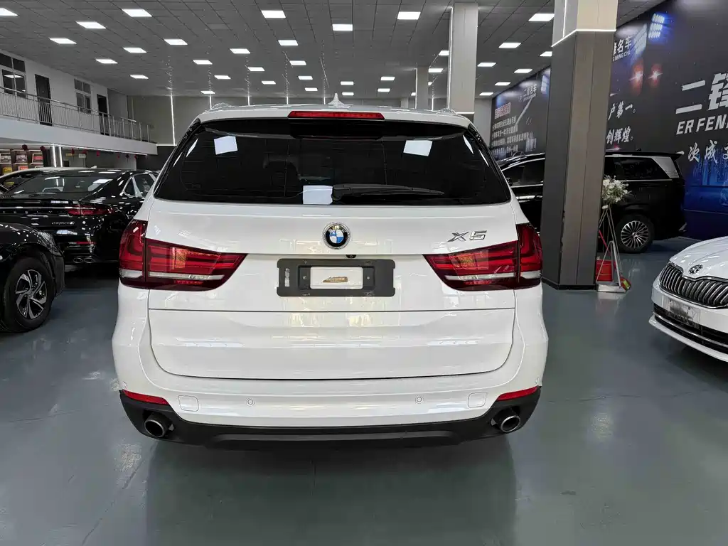 BMW X5 (Import) — миниатюра 5