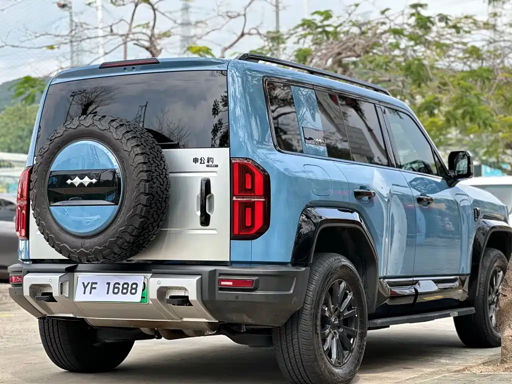 FANG CHENG BAO LEOPARD 5