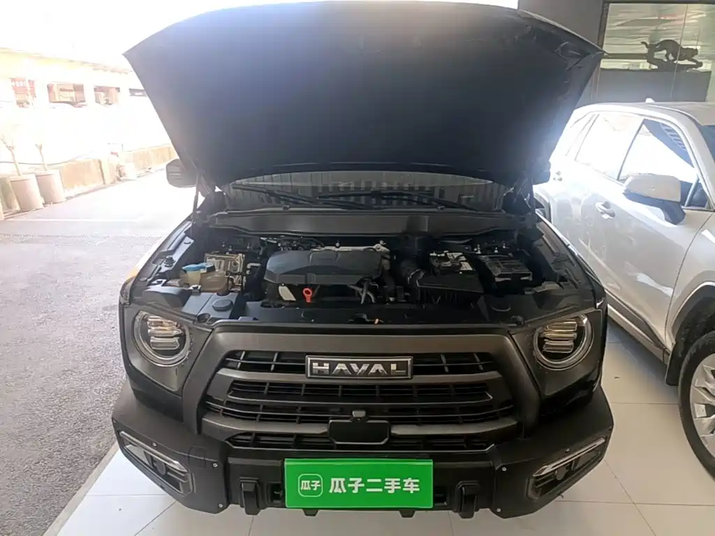 Haval Big Dog — миниатюра 20