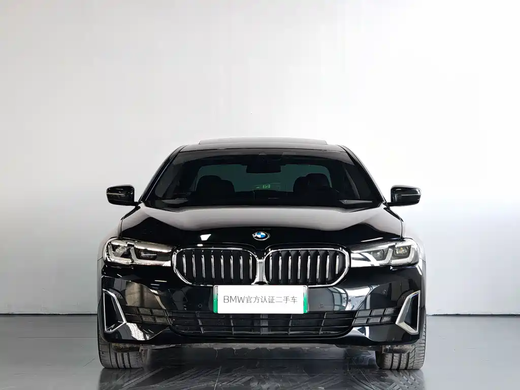 BMW 5 SERIES NEW ENERGY