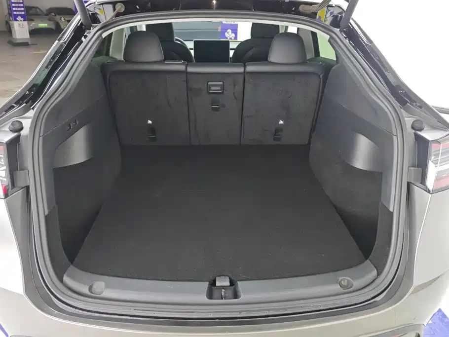 Tesla Model Y — миниатюра 3