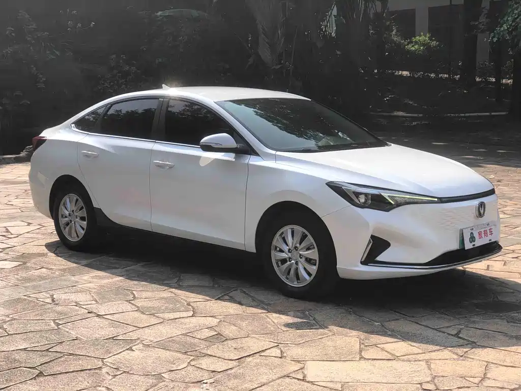 CHANGAN YIDONG NEW ENERGY