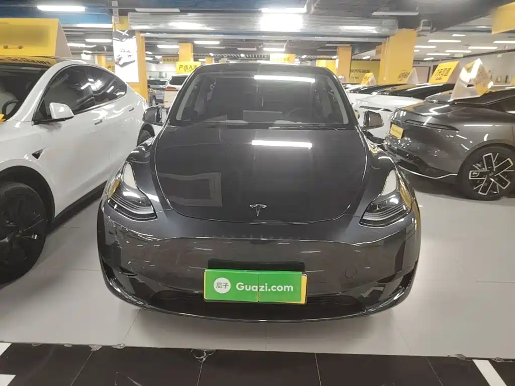 Tesla Model Y — миниатюра 3