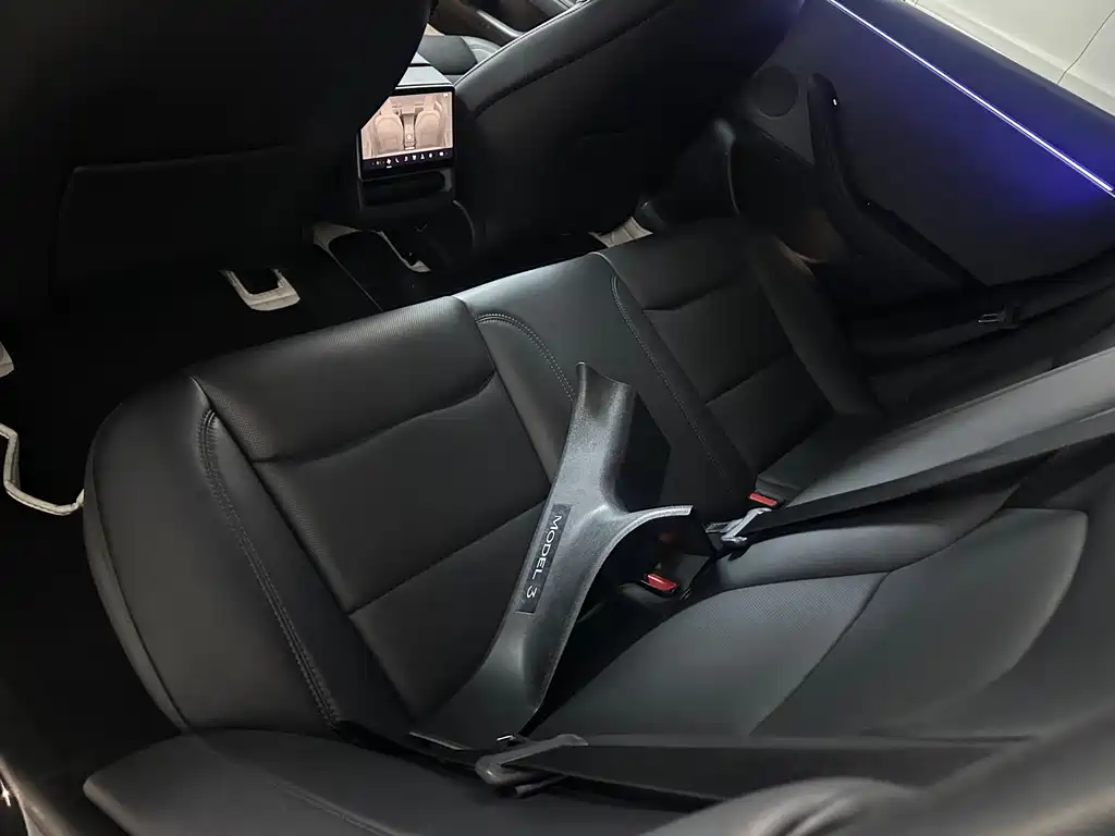 Tesla Model 3 — миниатюра 12