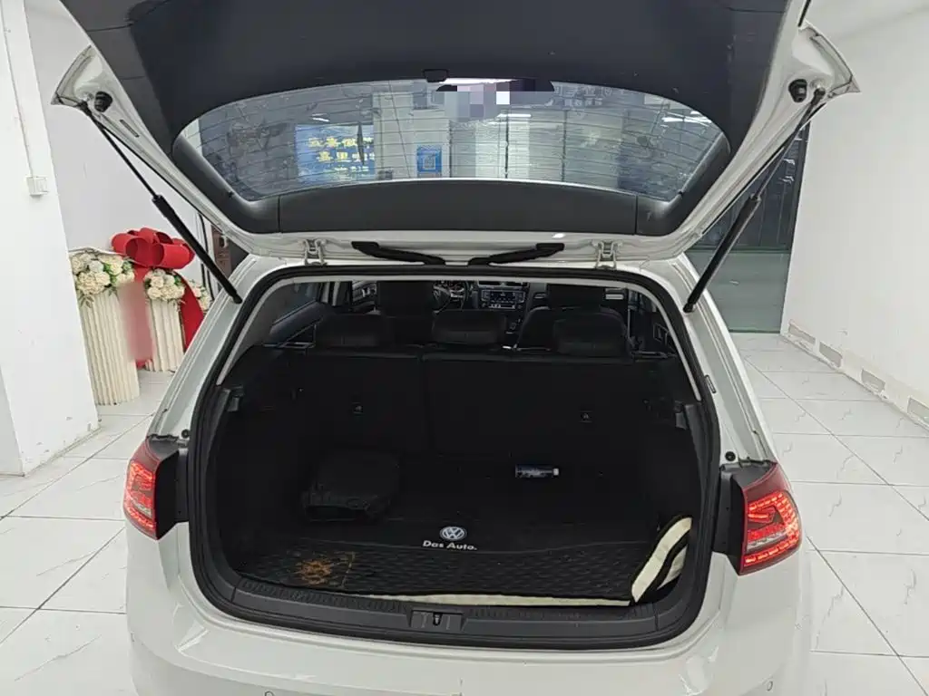 Volkswagen Golf — миниатюра 19