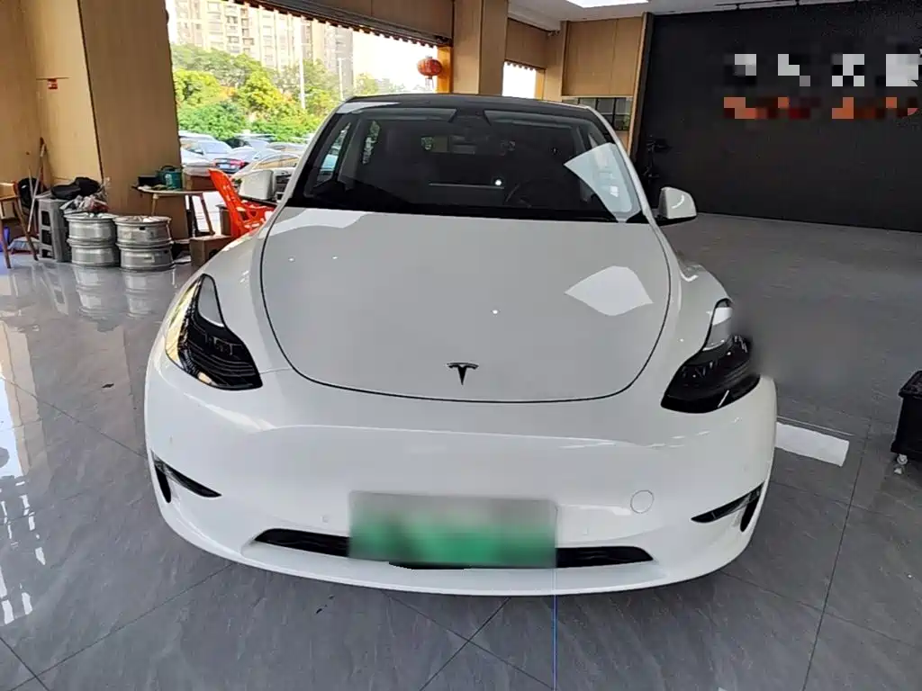 Tesla Model Y — миниатюра 3