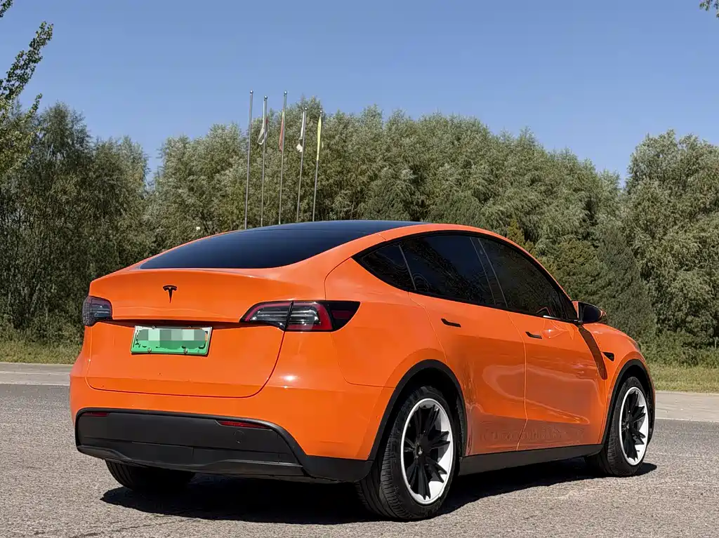 Tesla Model Y — миниатюра 6