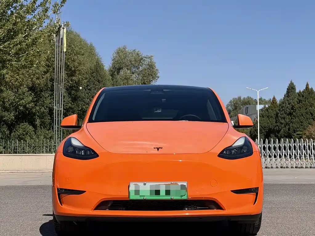 Tesla Model Y — миниатюра 2