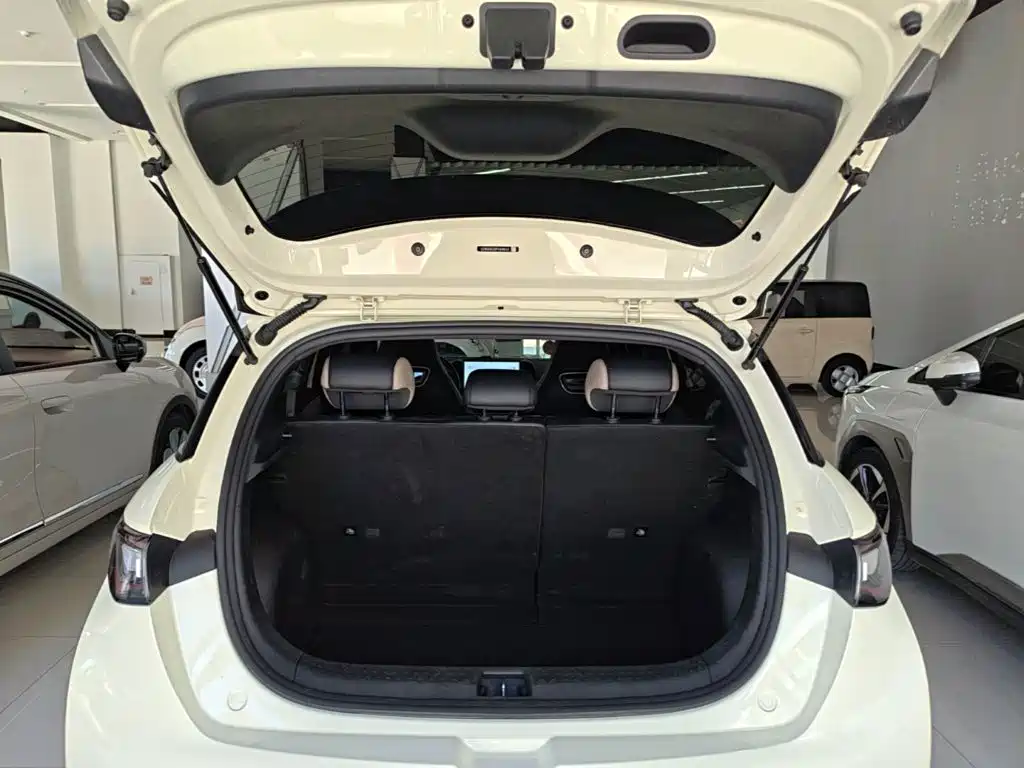 BYD Dolphin — миниатюра 19