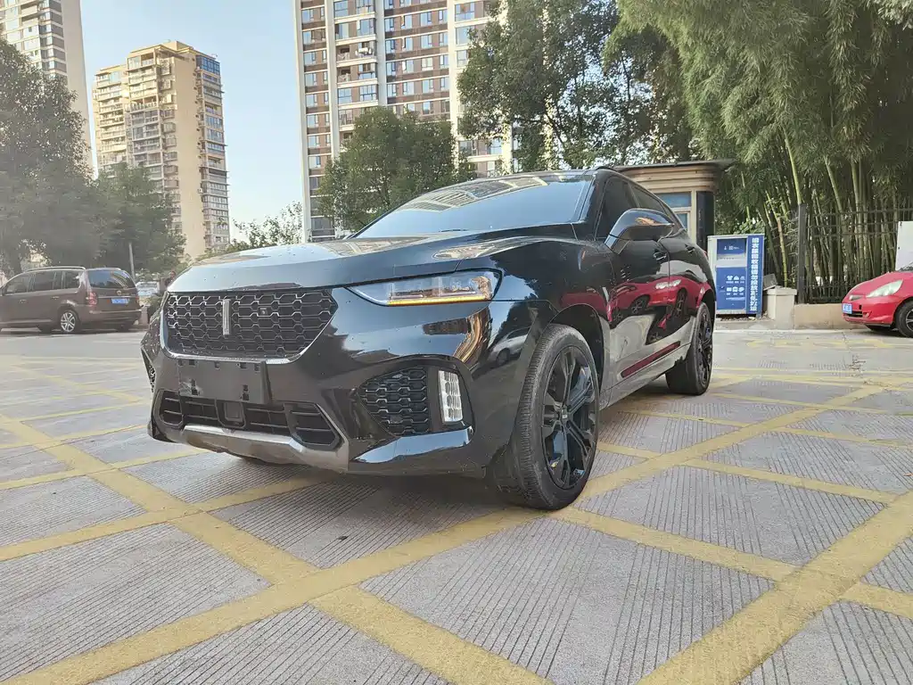 WEI PAI WEI BRAND VV7