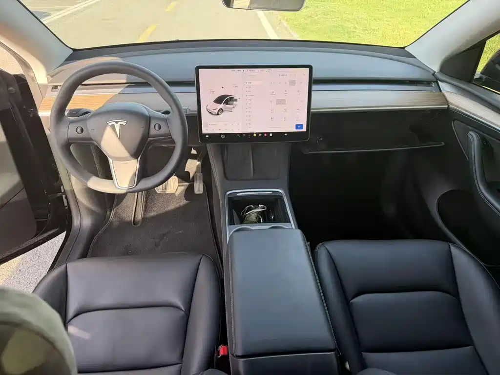Tesla Model Y — миниатюра 5