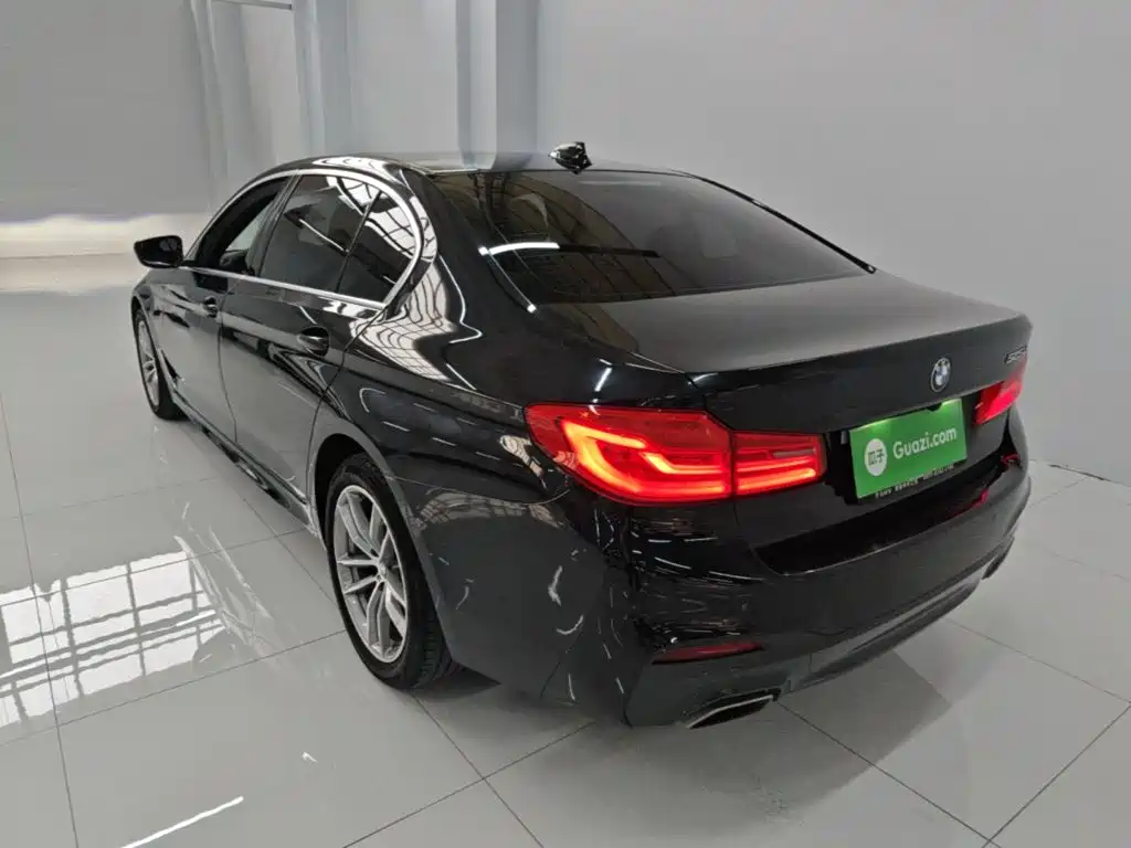 BMW 5 Series — миниатюра 5
