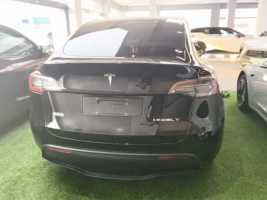 Tesla Model Y — миниатюра 6