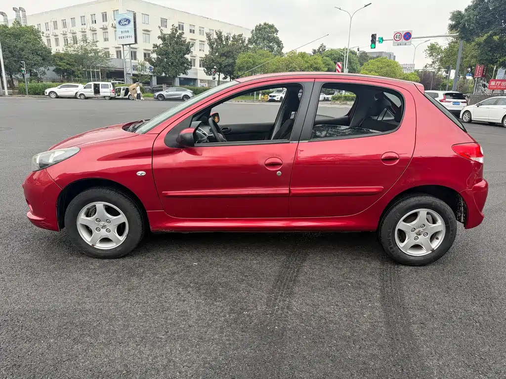 Peugeot 207 — миниатюра 7