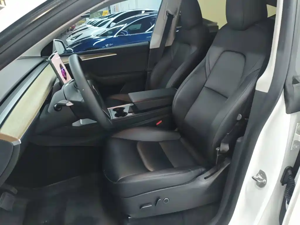 Tesla Model Y — миниатюра 15