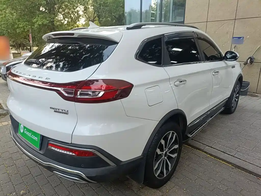Leopaard Mattu — миниатюра 7