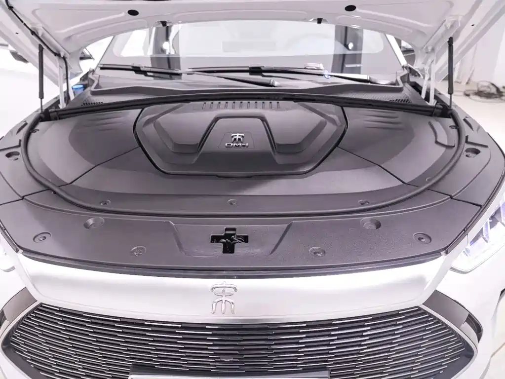 BYD PLUS New Energy — миниатюра 21