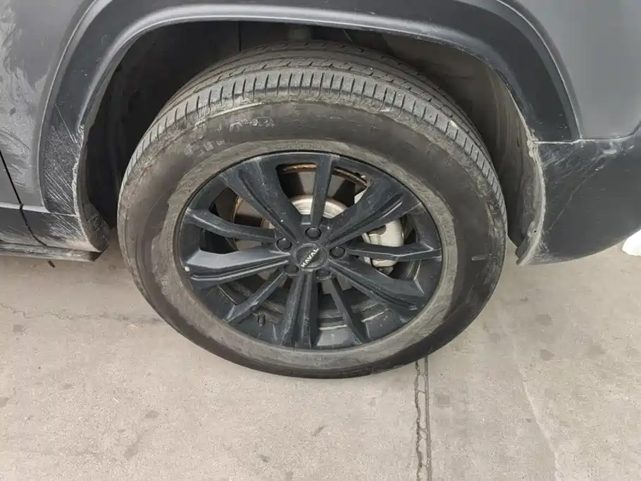 Haval Menglong New Energy — миниатюра 6