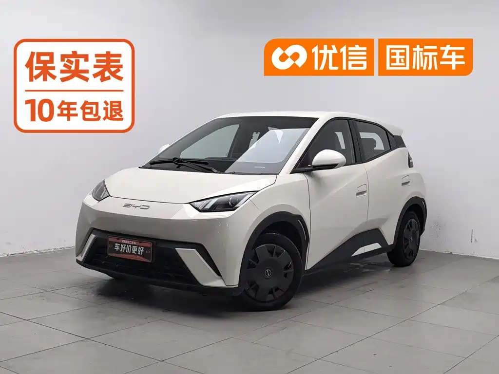 BYD Seagull