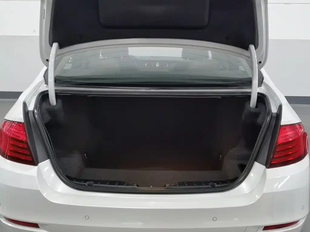 BMW 5 Series (Import) — миниатюра 16