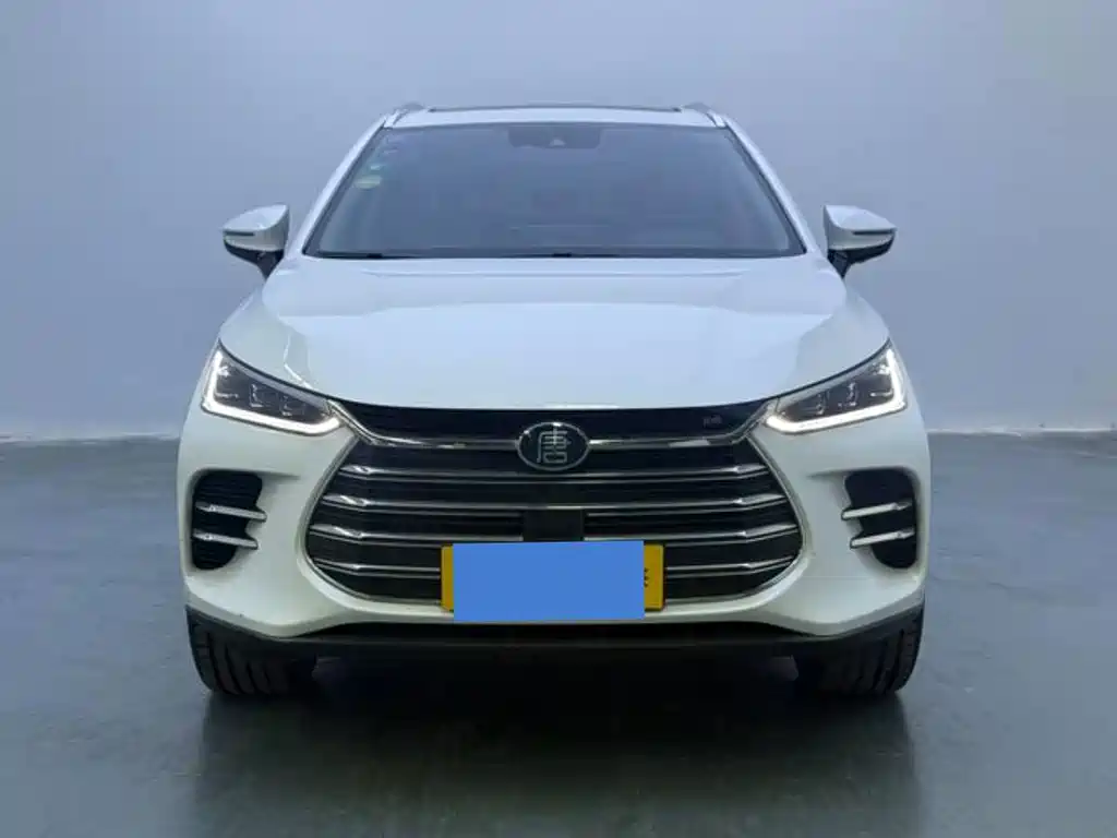 BYD Tang New Energy — миниатюра 2