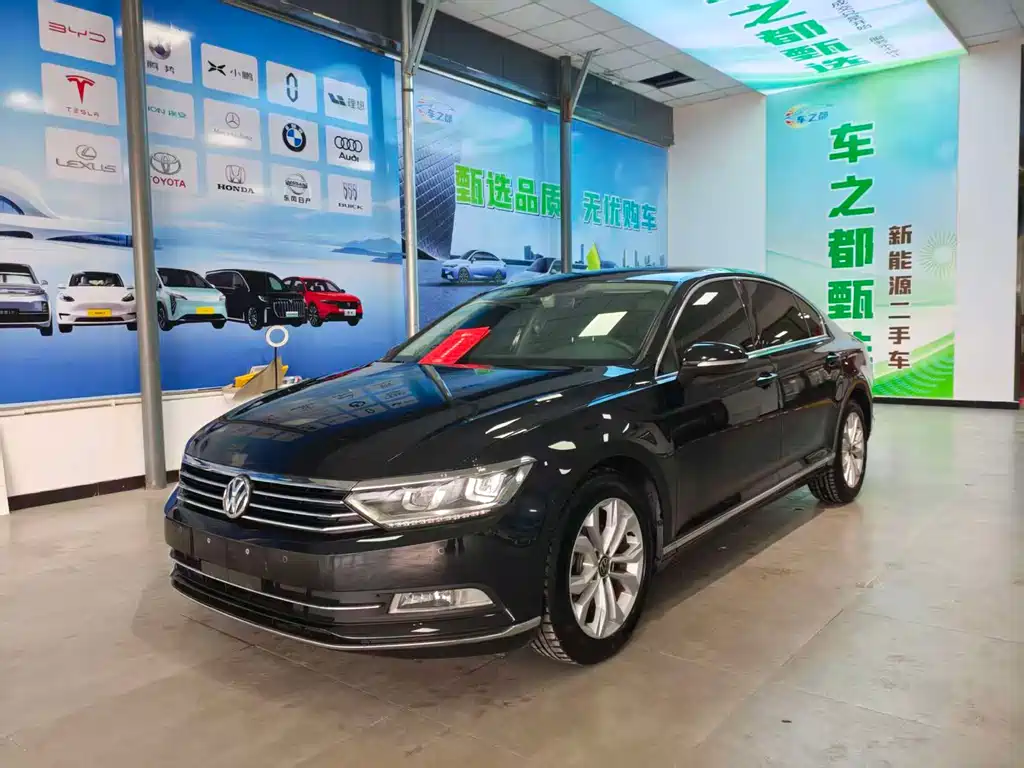 Volkswagen Magotan 2019 330TSI DSG Luxury VI