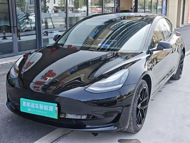 TESLA MODEL 3 2020