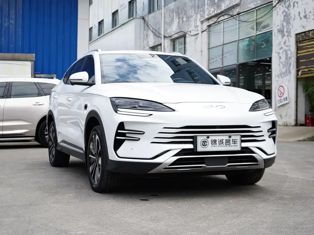 BYD PLUS New Energy — миниатюра 3